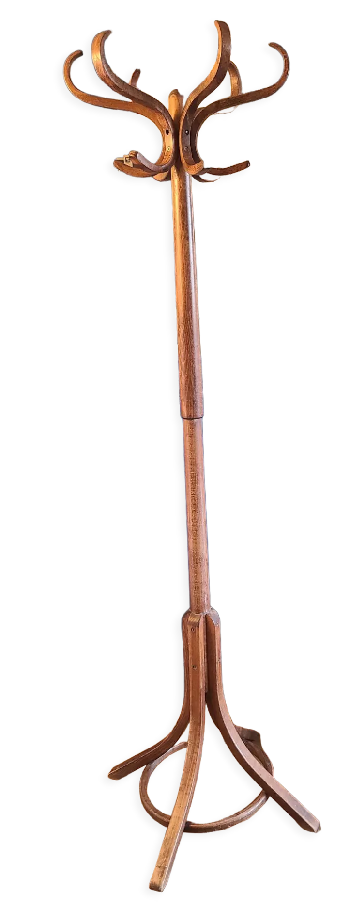 Baumann parrot coat rack