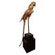 Decorative sculpture in solid brass representing a parrot, 1970s, Palm Beach/Hollywood Regency.