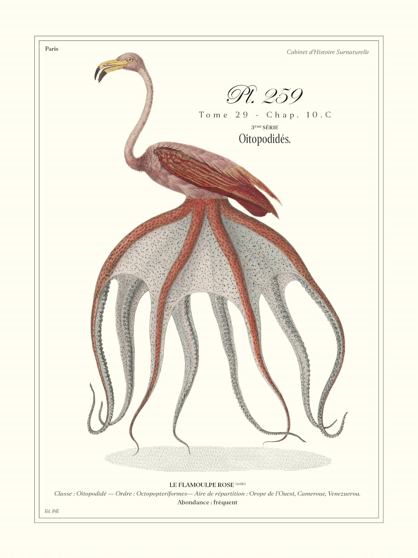 Lithograph engraving chimera animal framed, the flamoulpe 22x28 cm