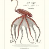 Lithograph engraving chimera animal framed, the flamoulpe 22x28 cm