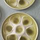 Lot of 8 vintage oyster plates moulin des loups - sage green - fran