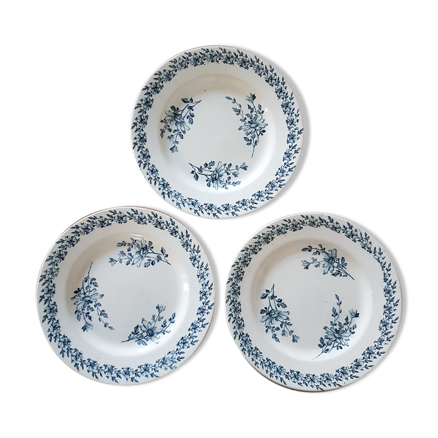 Flat plates Luneville - Daisies
