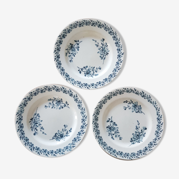 Flat plates Luneville - Daisies