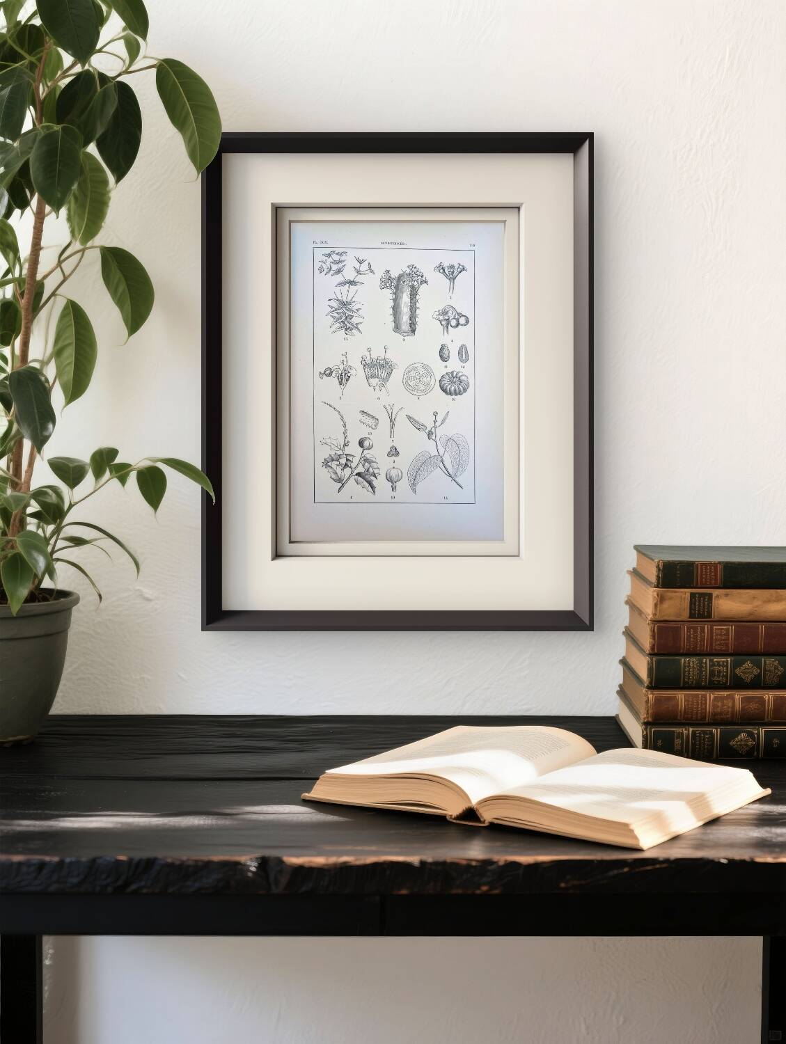 Printed in 1889, the Euphorbiaceae. Antique botanical plate.