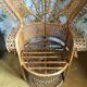 Fauteuil Emmanuelle