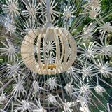 Dandelion pendant light