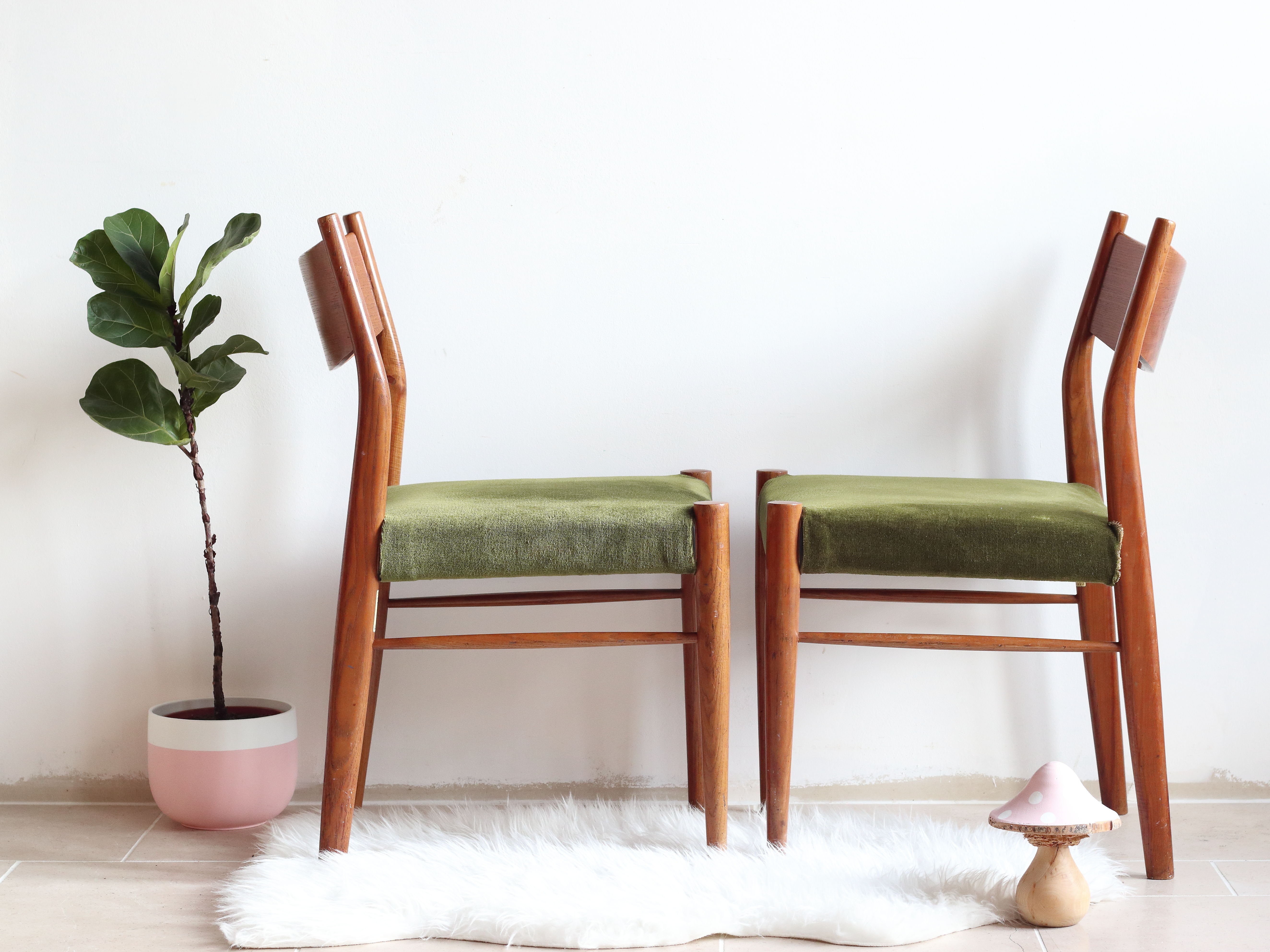 Paire de chaises de style scandinave Consorzio Sedie Friuli en chêne et velours