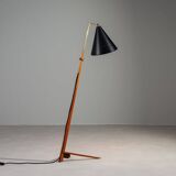 Lampe sur pied Nigel Walters en noir et teck, Hagoort, Pays-Bas, 1958