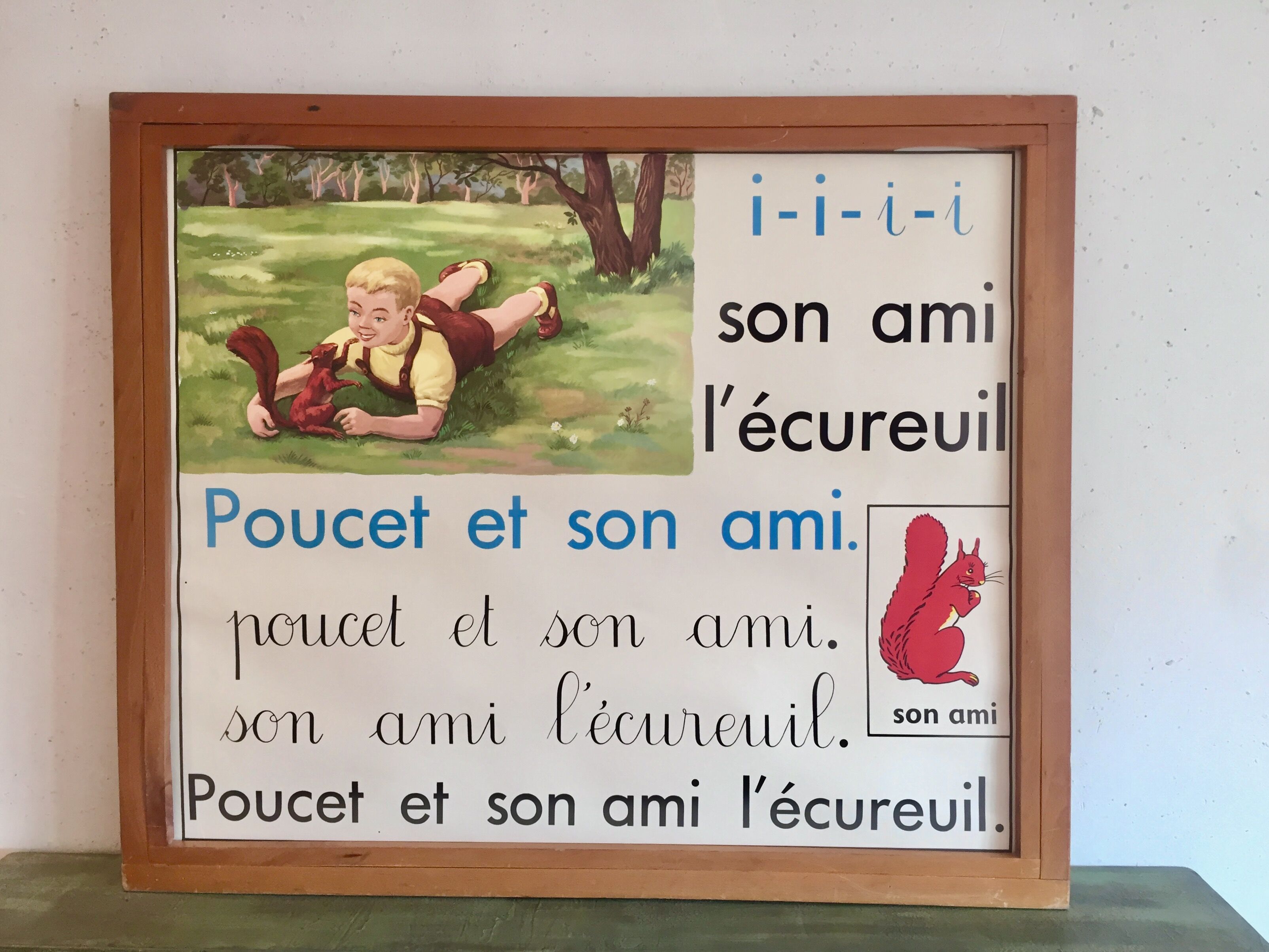 Educational poster rossignol 60s thumb and squirrel