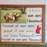 Educational poster rossignol 60s thumb and squirrel