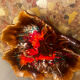 Vintage leaf-shaped earthenware centerpiece/trinket tray