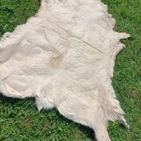 Reindeer skin rug