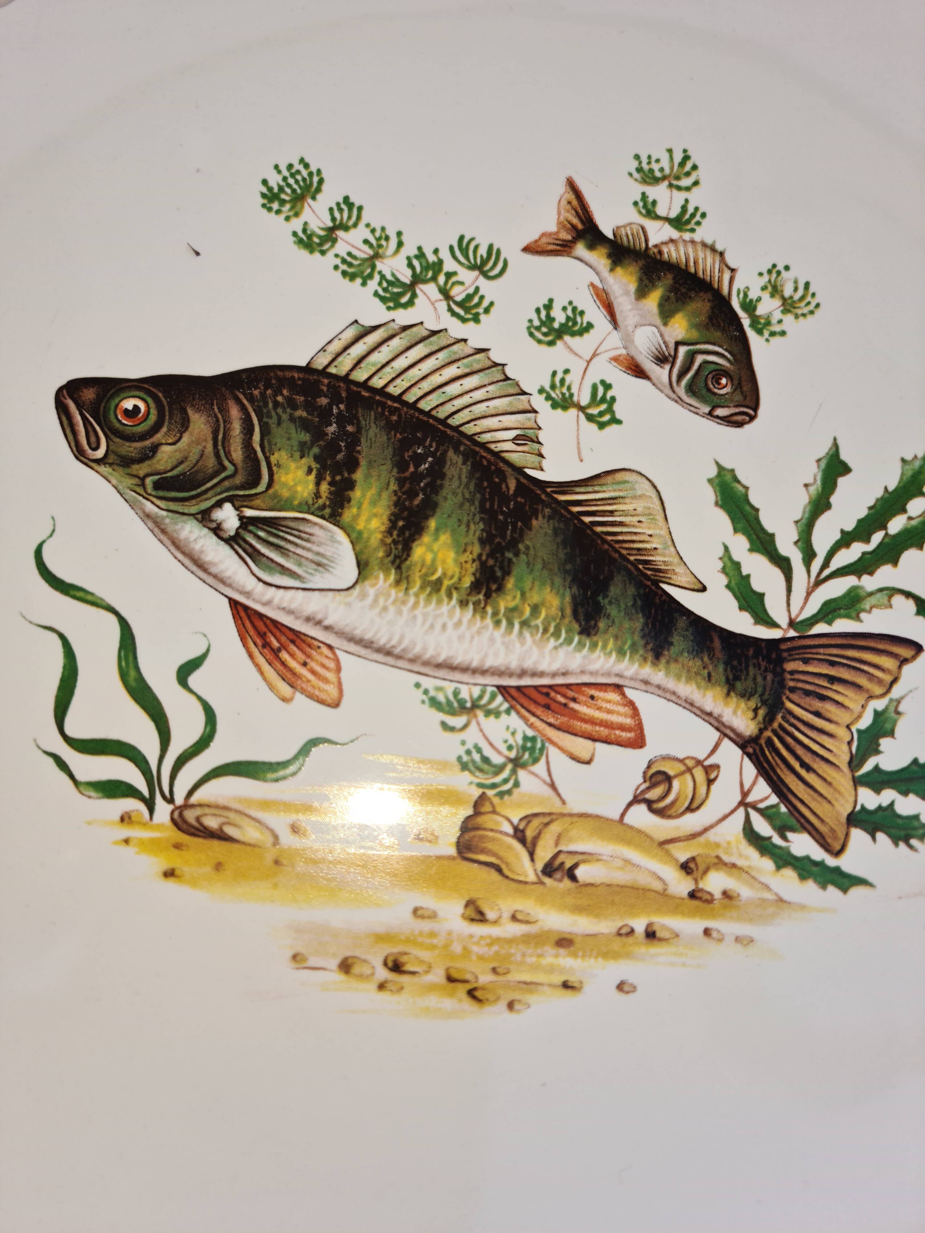 Lonchamp fish service: 12 plates and a dish