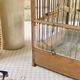 Birdcage