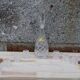Bavarian crystal decanter + 8 glasses – with original box