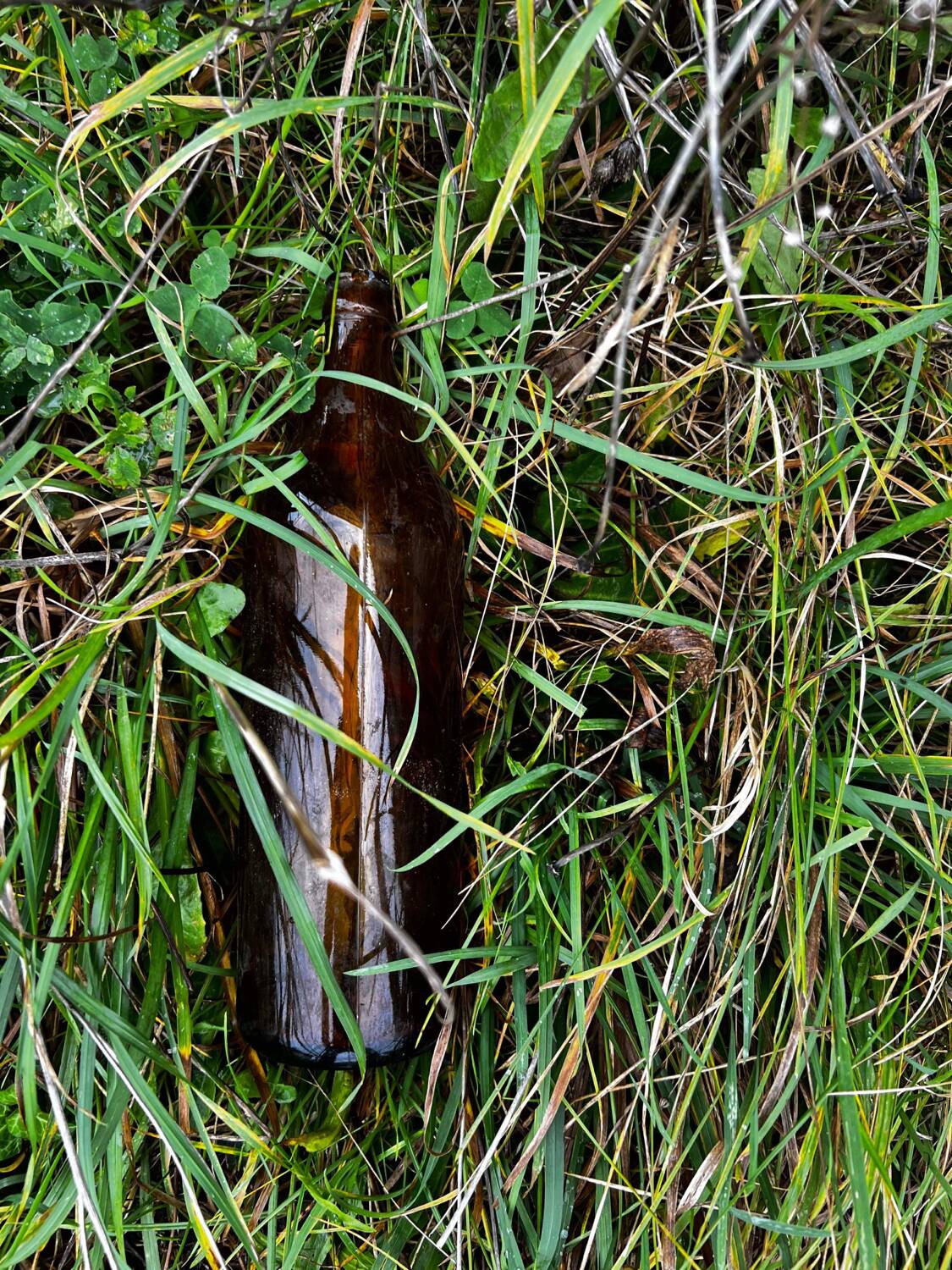 Bouteilles en verre décoratives