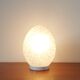 Lamp egg Ben Swildens