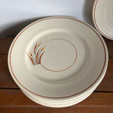 10 assiettes à dessert 