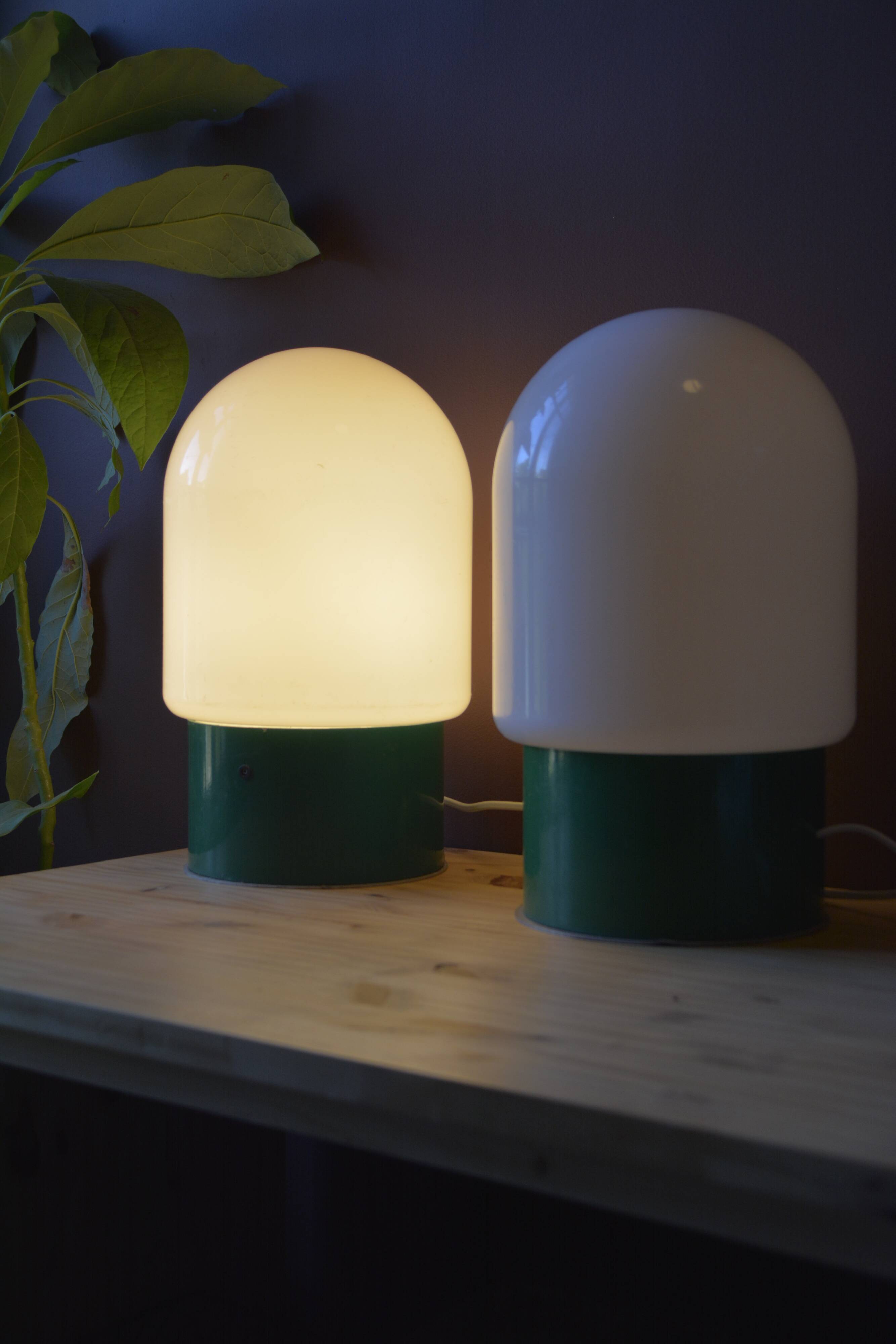 Pair of industrial lamps