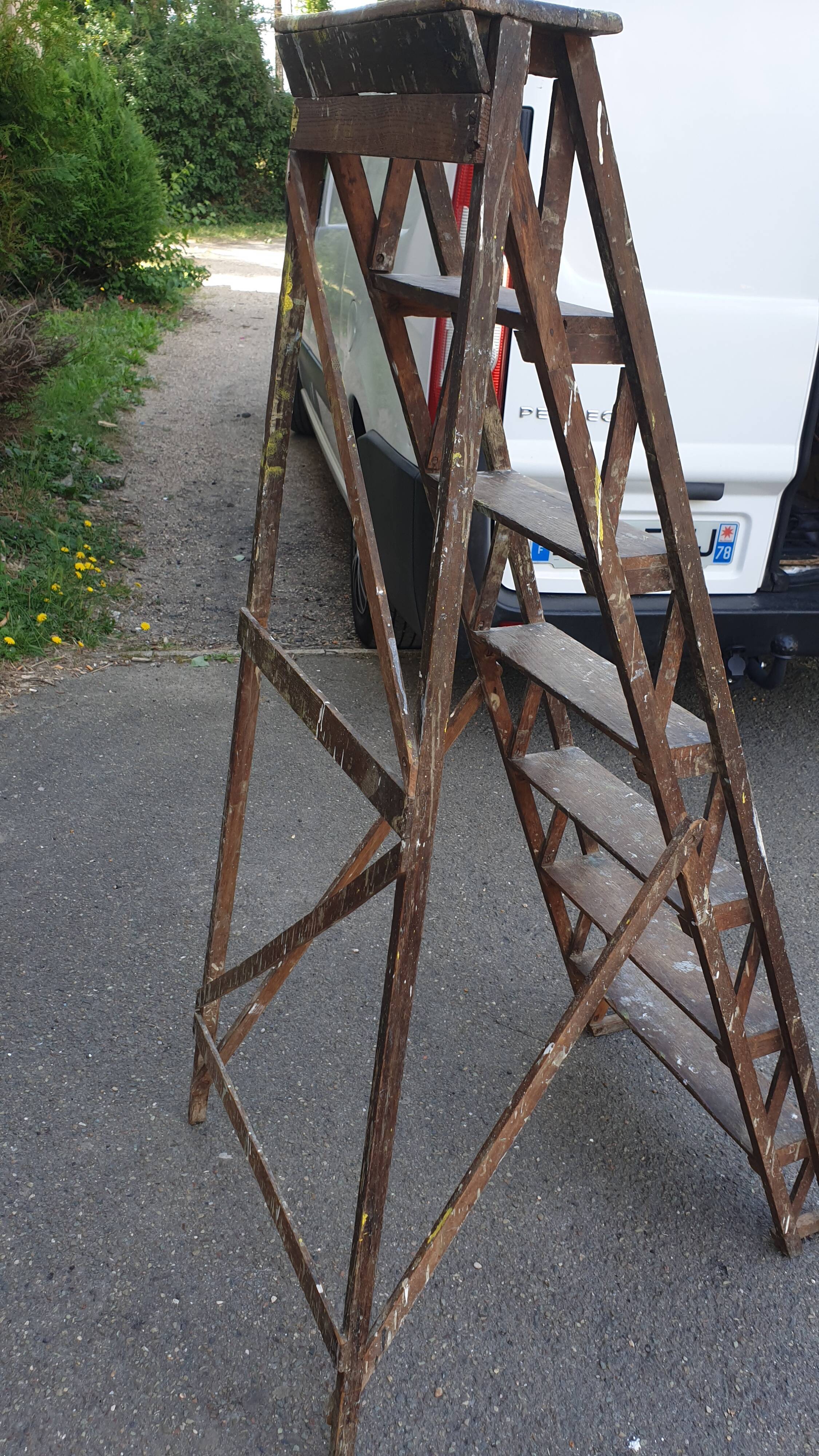 Painter's stepladder in solid beech