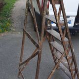 Painter's stepladder in solid beech