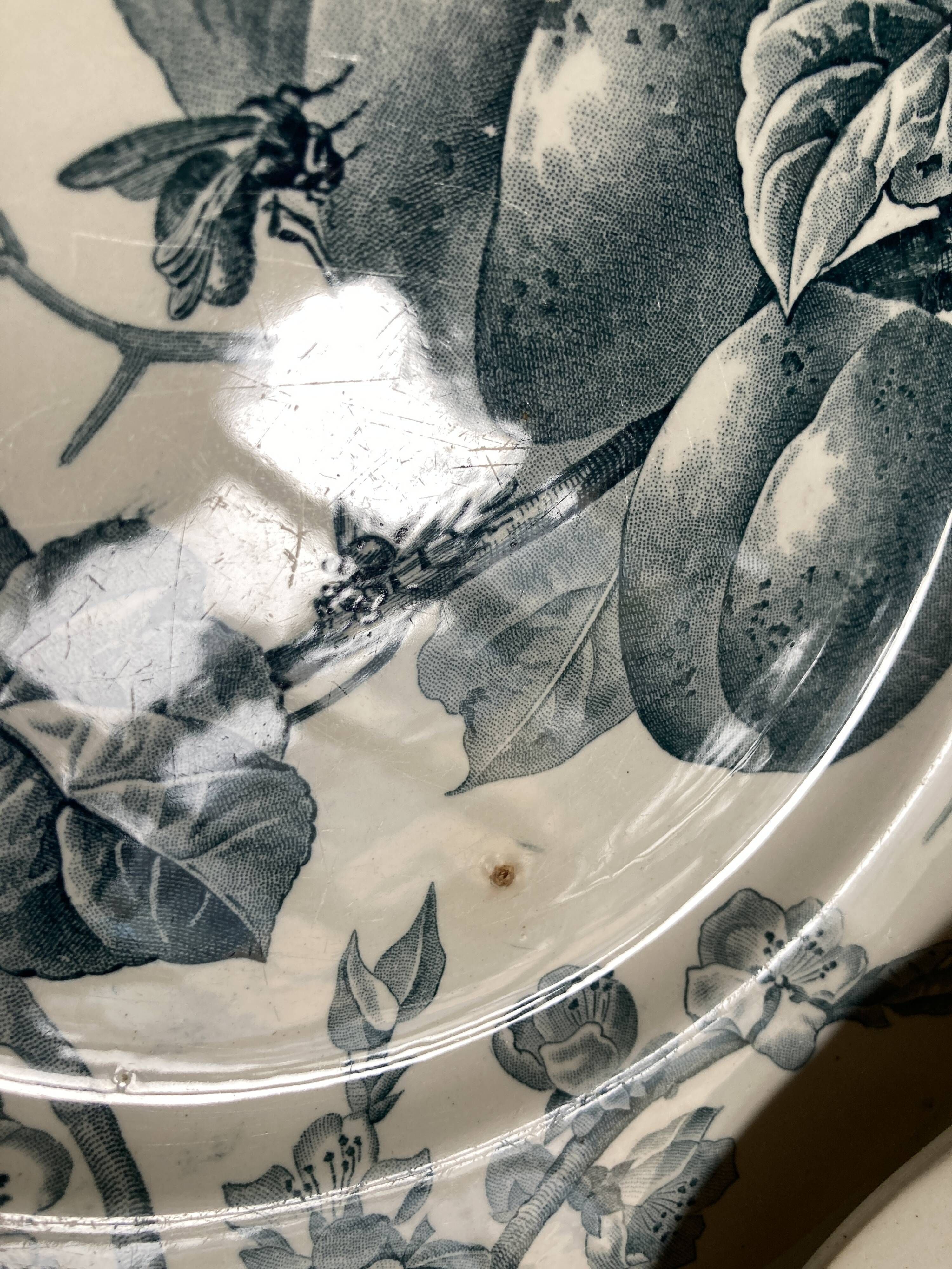 Set of 6 plates Creil Montereau Pomona iron earth early 20th