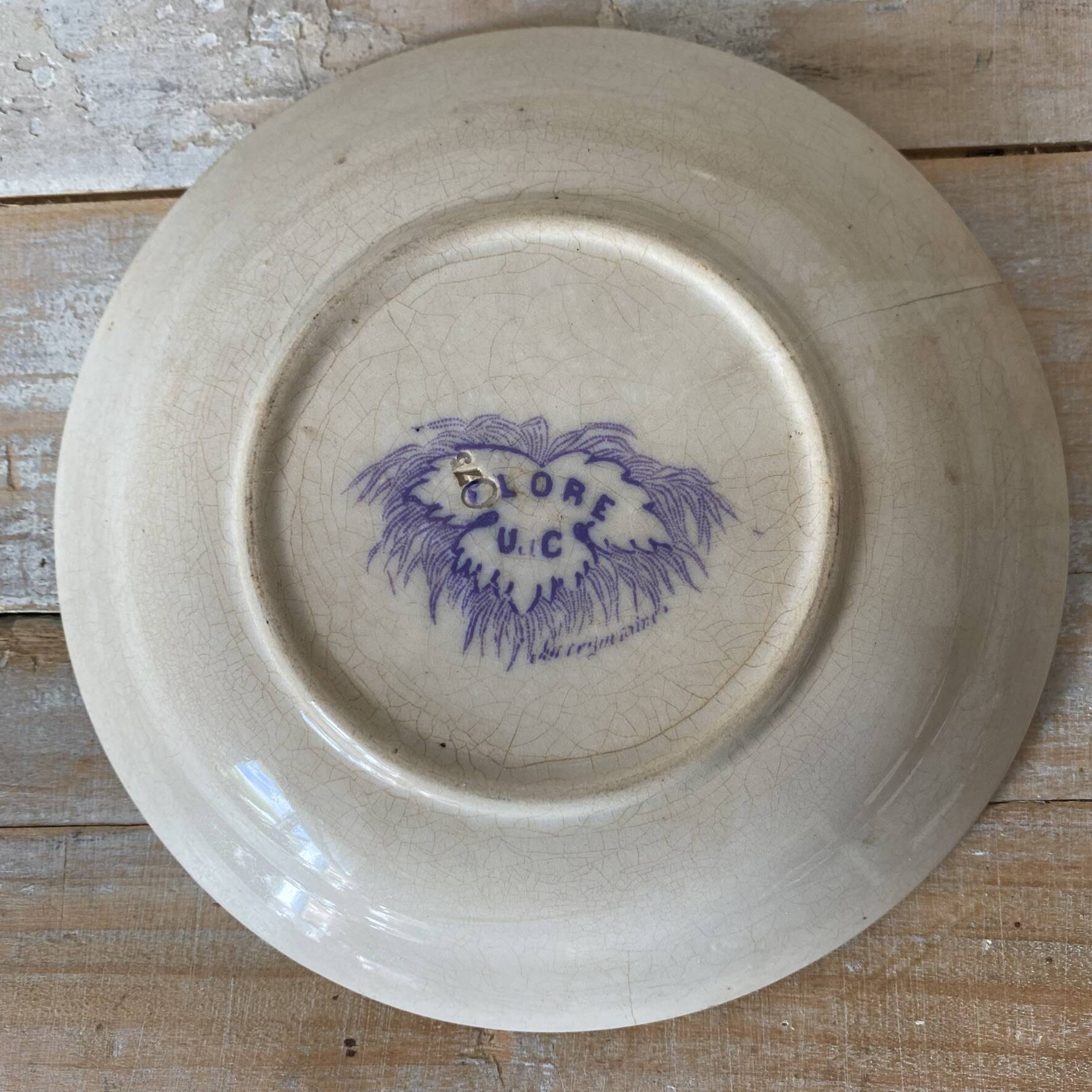 Assiettes en terre de fer décor Flore , coupelles  anciennes