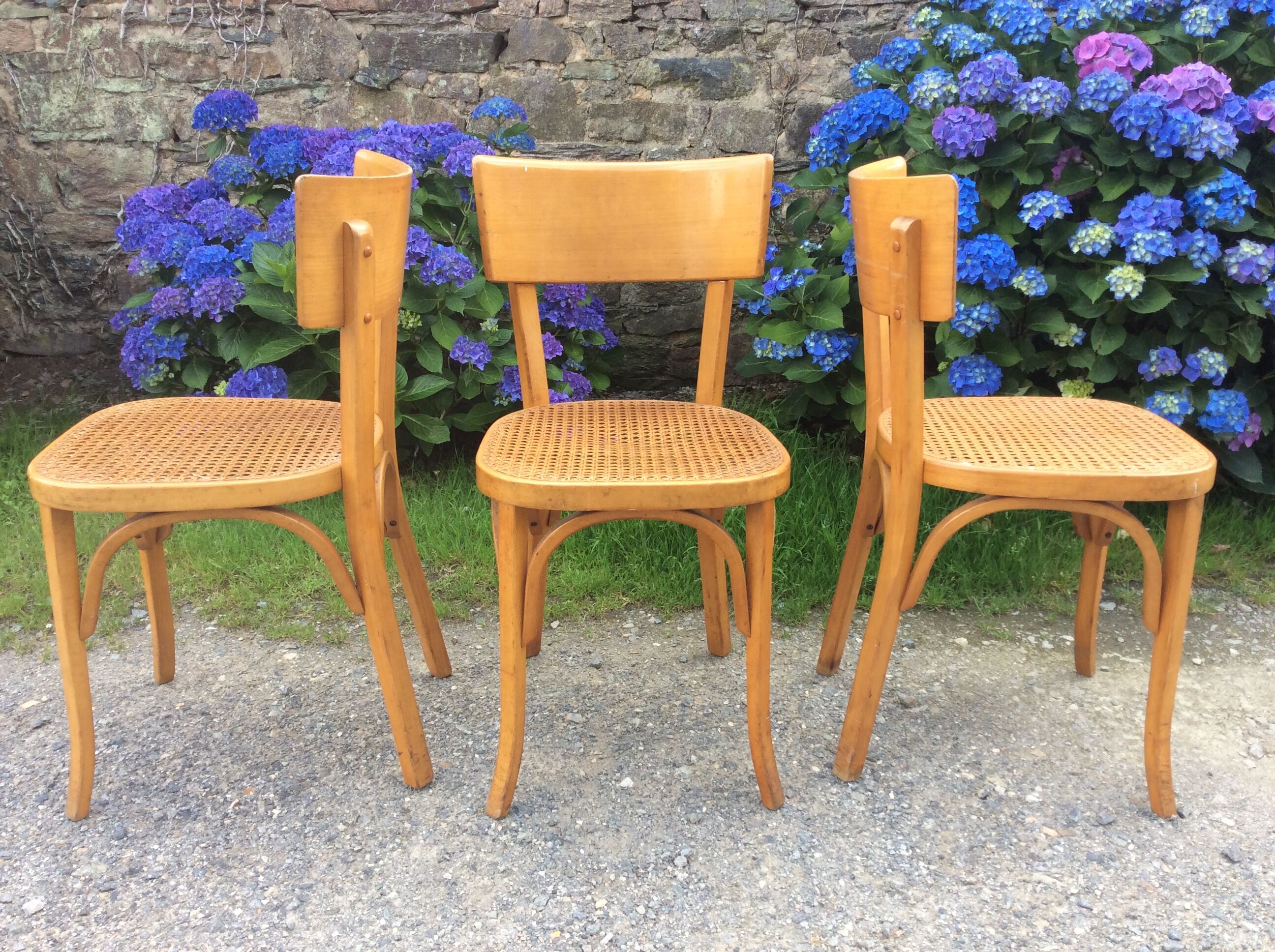 Trio de chaises cannées de style Bauman en hêtre non estampillées.