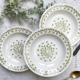 Assiettes creuses Ironstone Italienne Giovanni Valdarno motif vert rouge