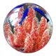 Murano glass ball paperweight Coral dolphins and fish