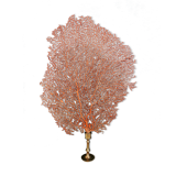 Gorgon Rouge, Brass base (Early XXth) 33*23 cm