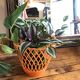 Orange flowerpot