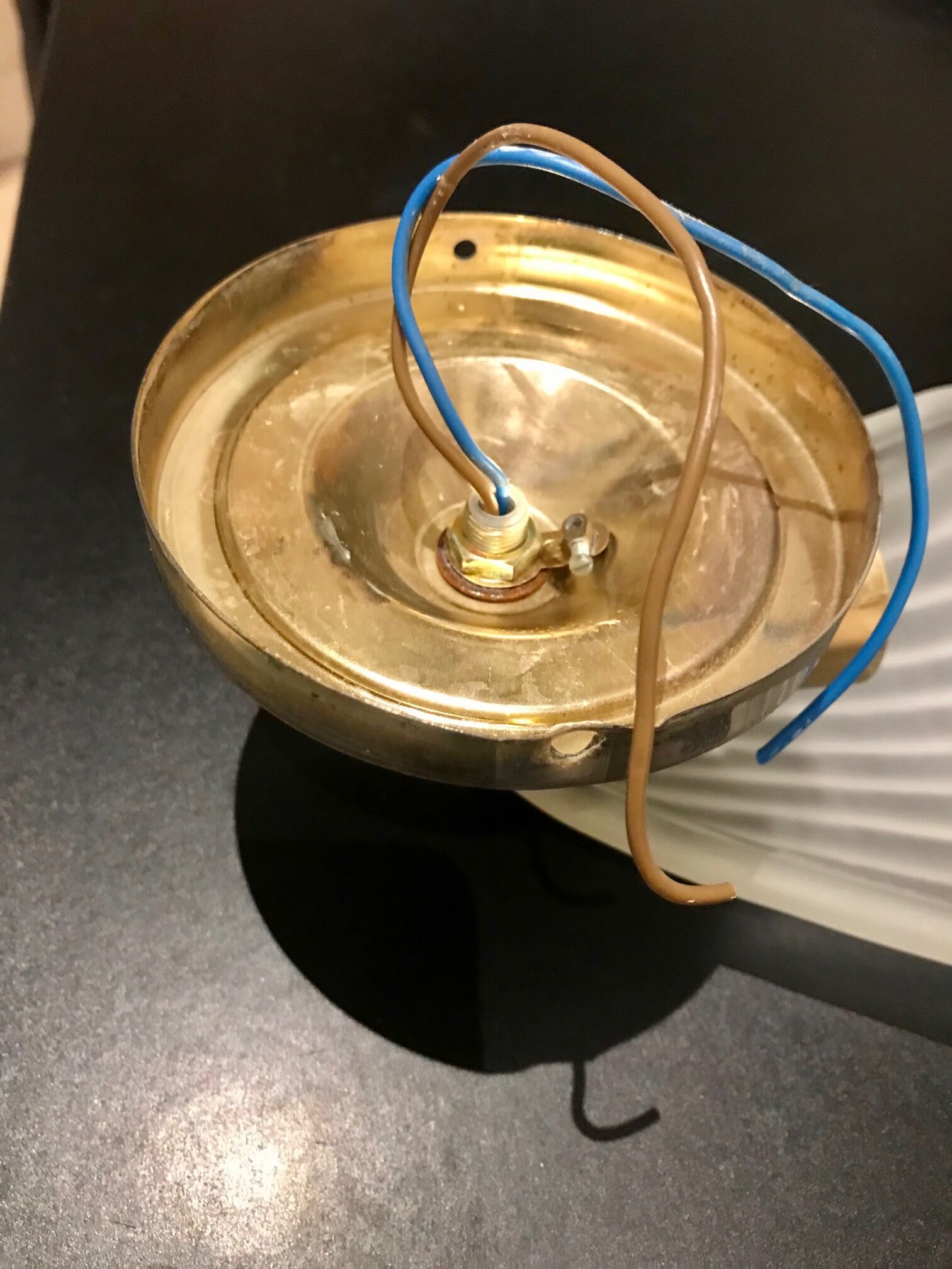 Glass shell wall lamp
