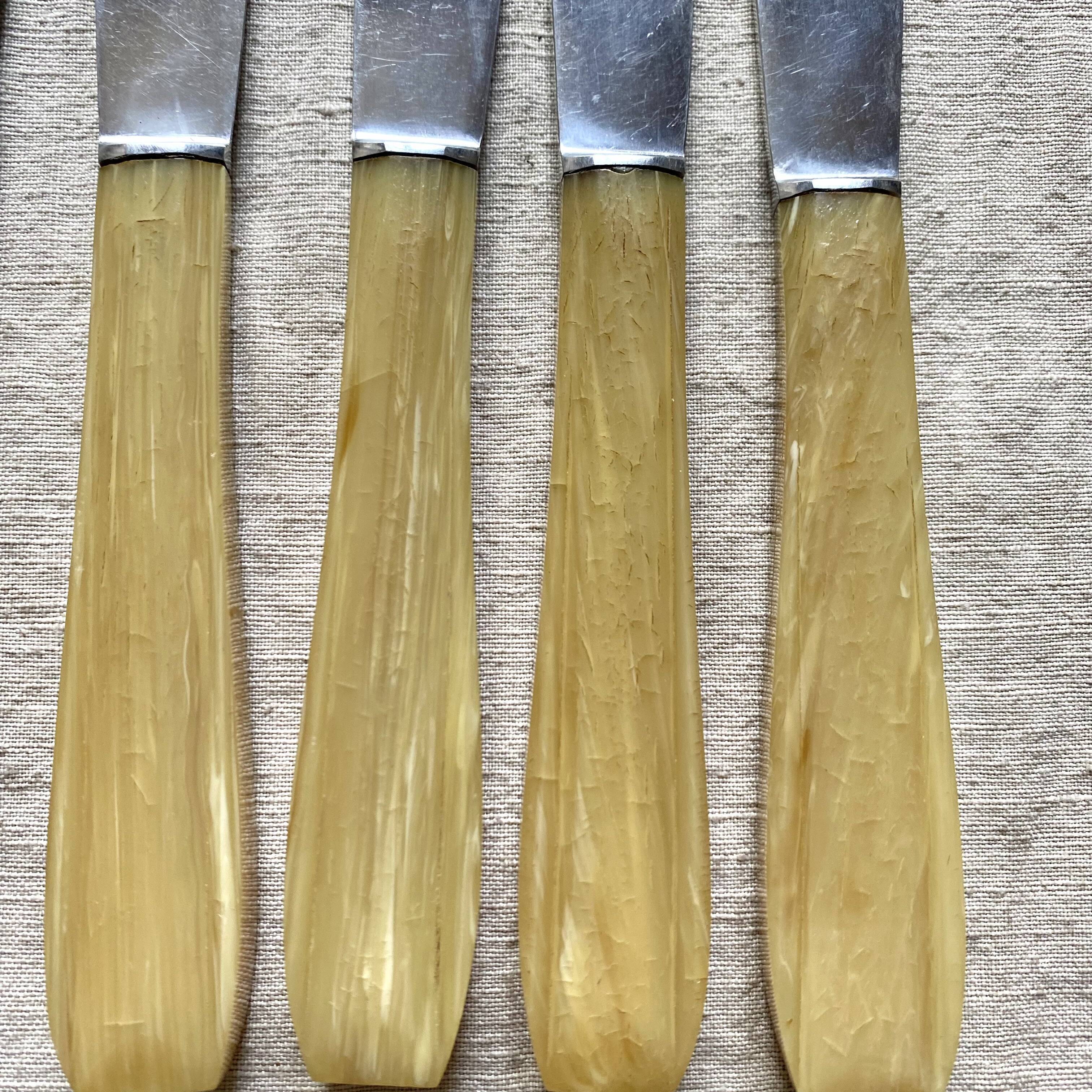 Couteaux en inox et résine vintage