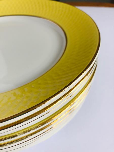 Lot de 11 assiettes plates Moulin des Loups