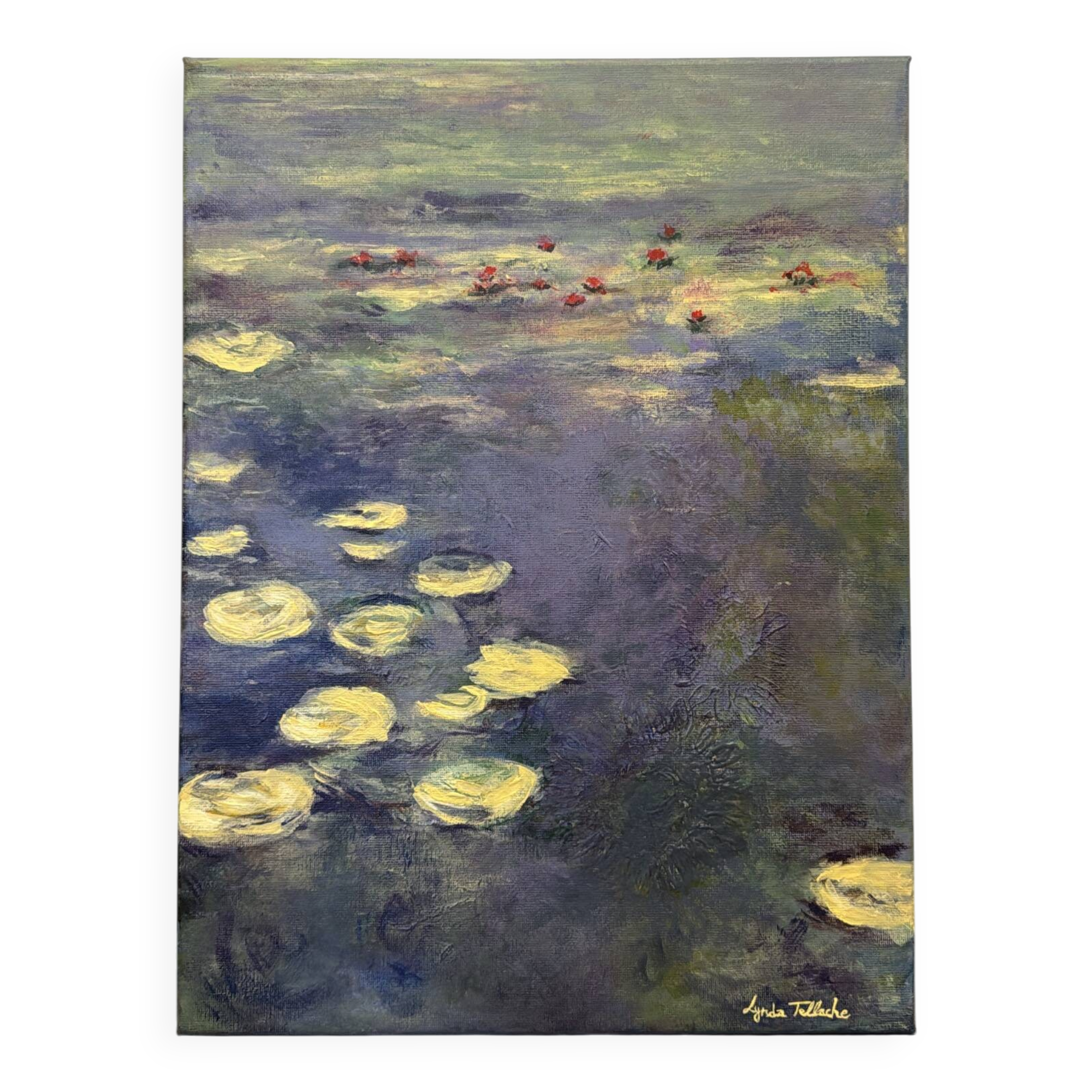 Water Lily Reflections