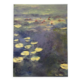 Reflets de Nénuphars