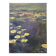 Water Lily Reflections