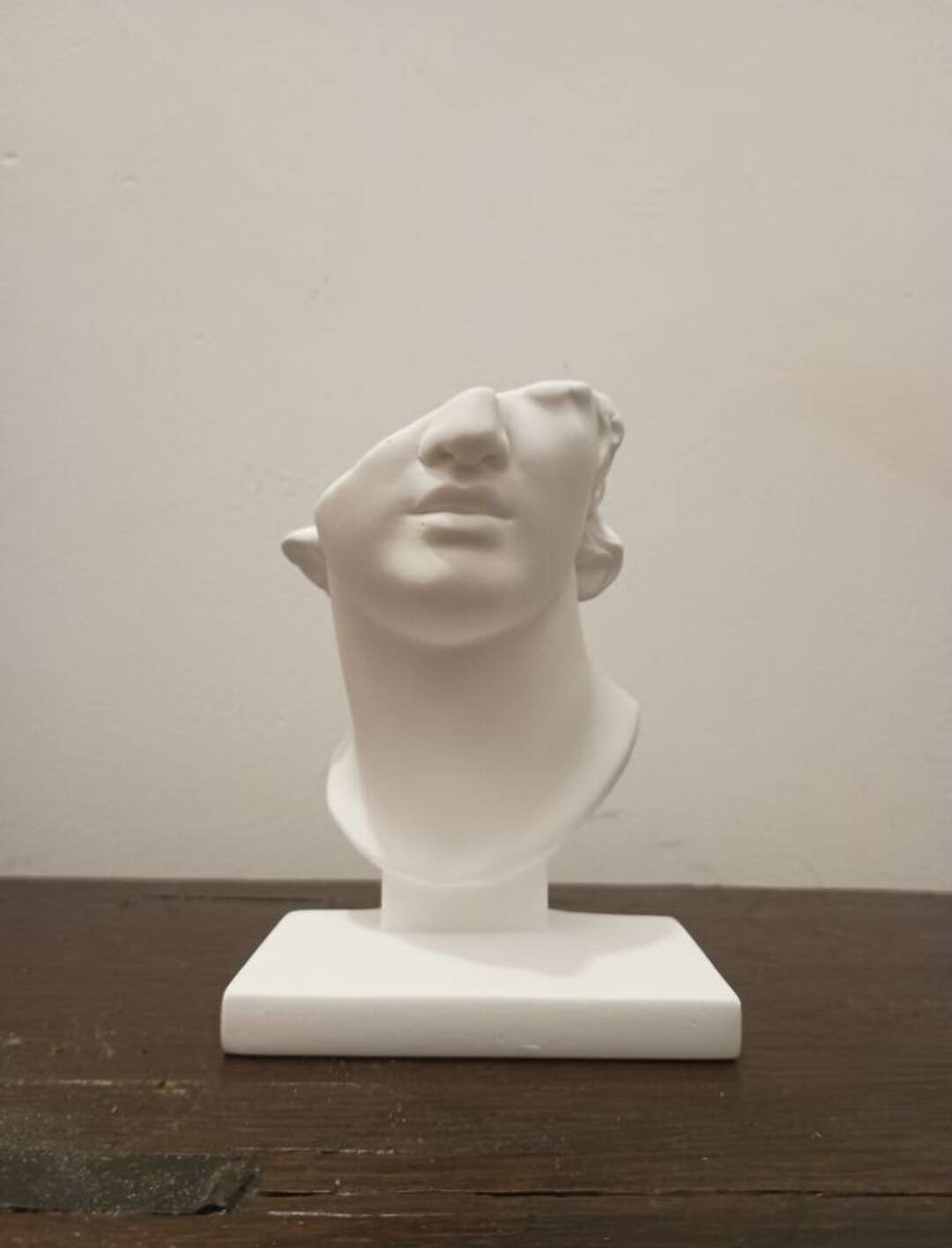 Plaster head