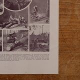 Original lithographs on forest and forest trees