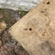 Vintage workshop stool
