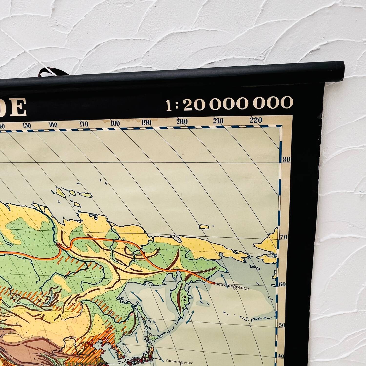 Educational map “the types of landscapes of the earth”