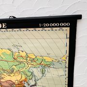 Educational map “the types of landscapes of the earth”