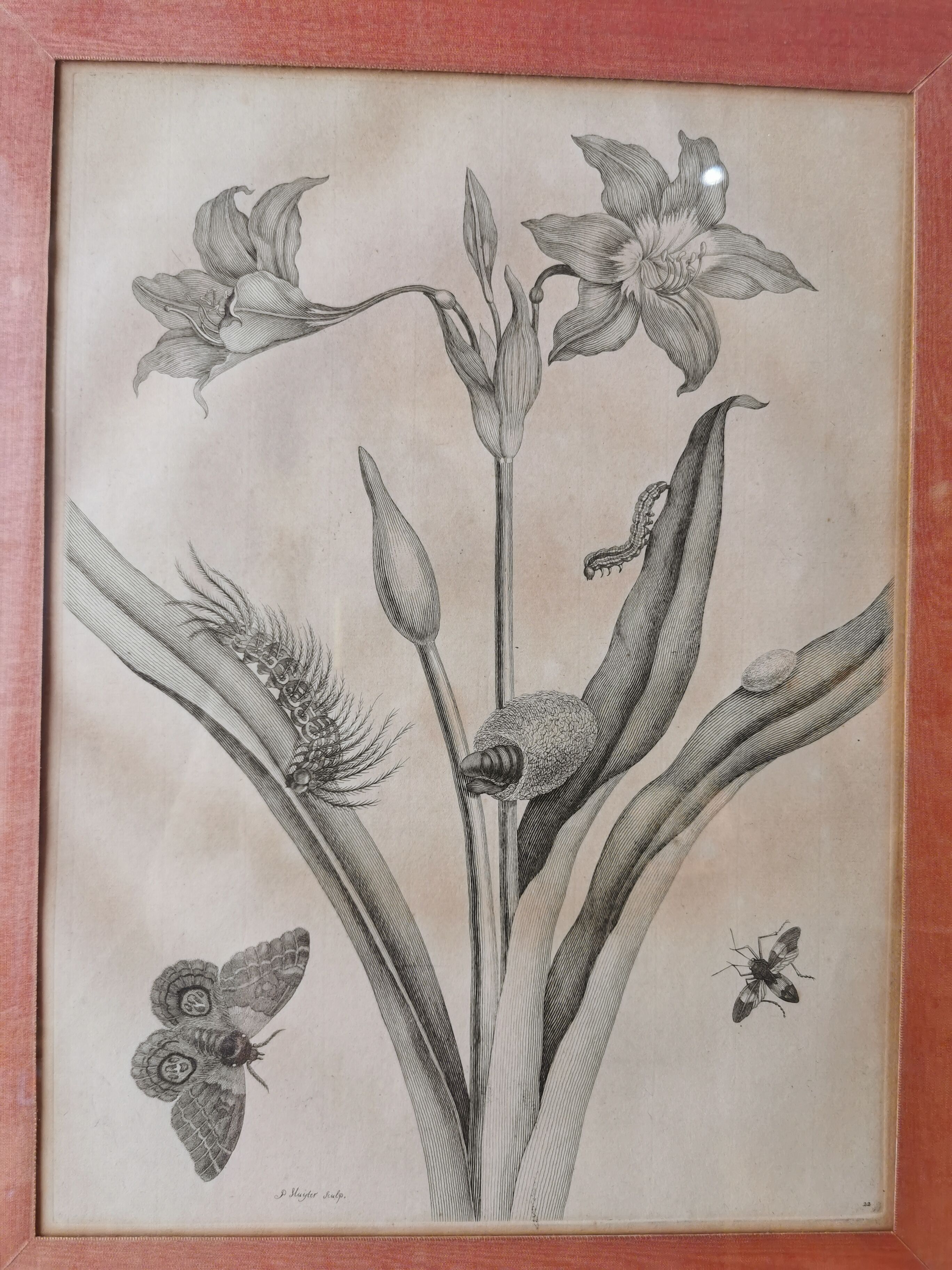 13th century engraving