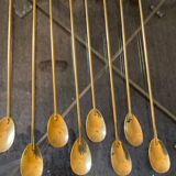 Series of 8 vintage golden spoons