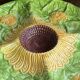 Divided plate, sunflower in slipware