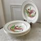 Lot of 5 hollow plates digoin sarreguemines model "rooster" years 40-50