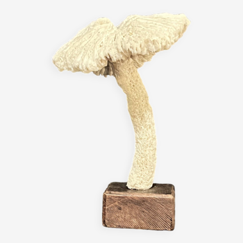 Champignon en ancien corail blanc sur socle bois xixe XXe cabinet de curiosités vintage