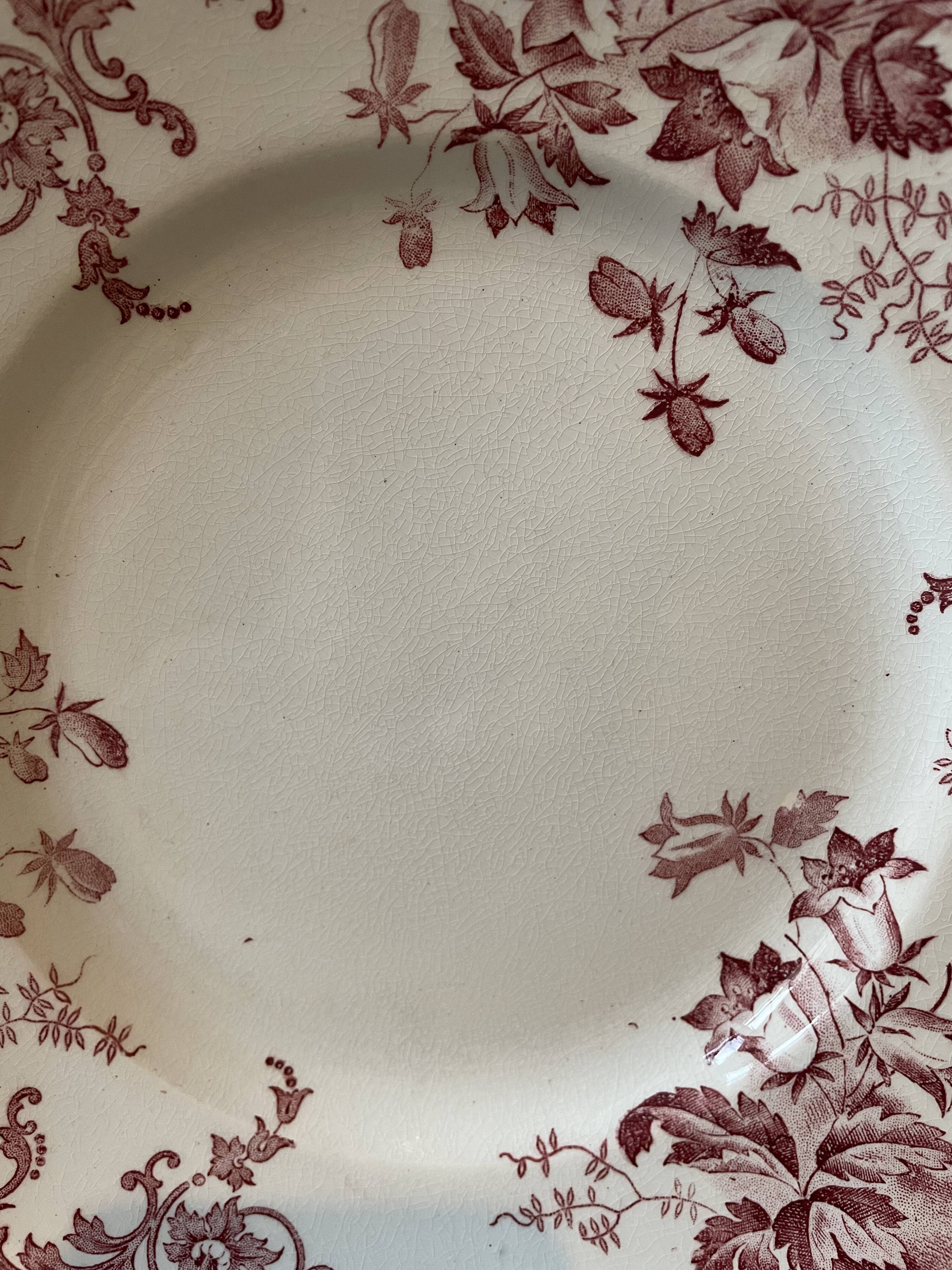 Plate ancient Iron Land XIXth "Campanula" St Amand & Hamage