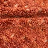 Small Berber Ben M'rirt wool rug